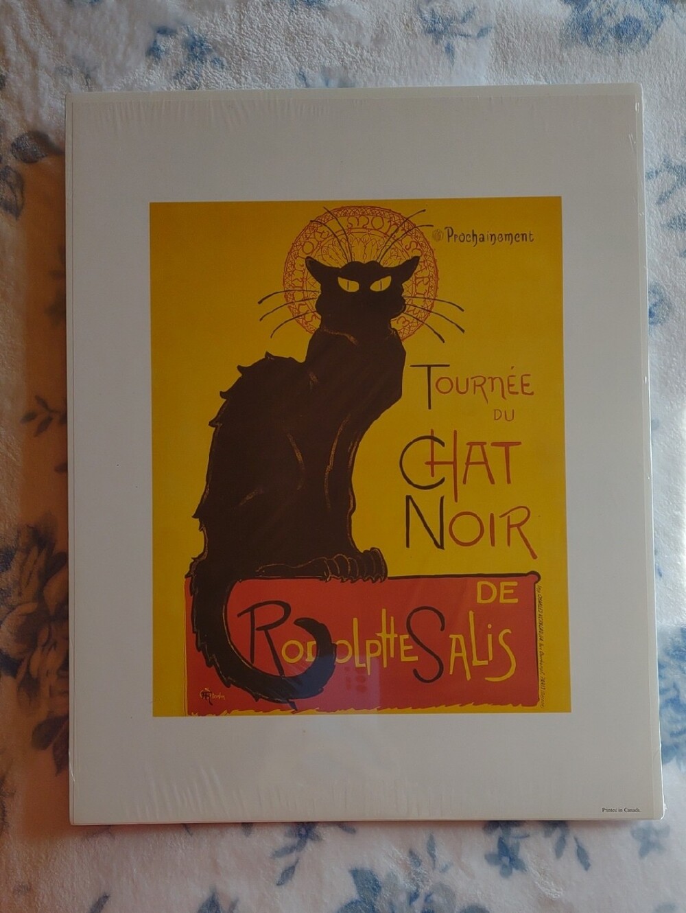 Chat Noir Cat Wall Art Print